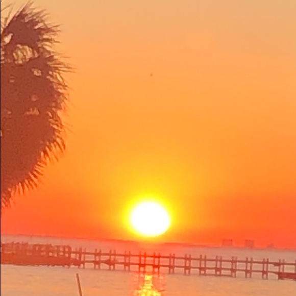 Meet your Posher, Donna - Picture 1 of 1